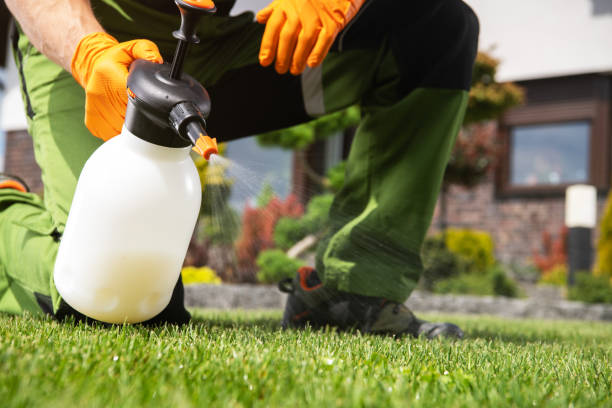 Best Affordable Pest Control Services  in Houghton, NY