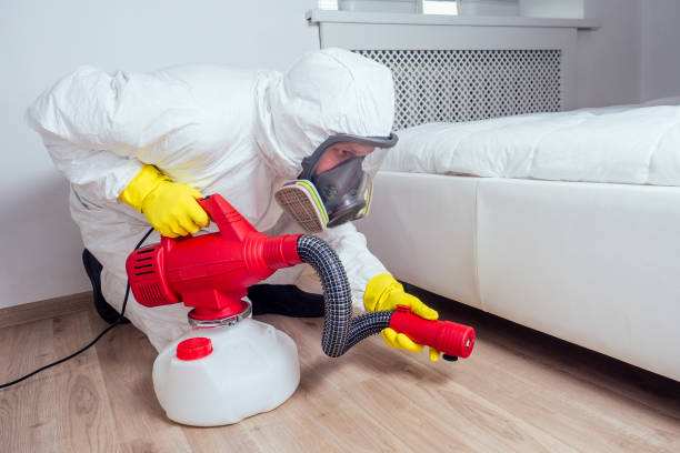Best Pest Inspection Near Me  in Houghton, NY