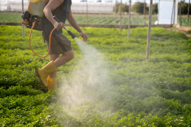 Best Best Pest Control Companies  in Houghton, NY