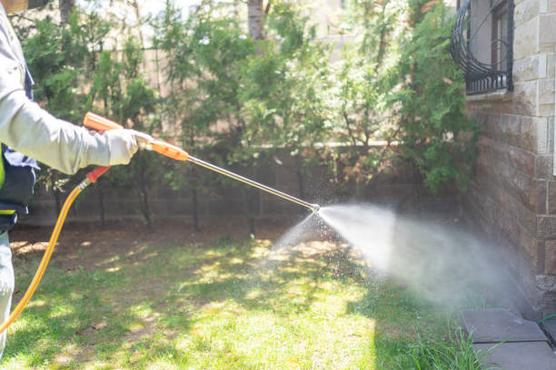 Pest Prevention Services in Houghton, NY