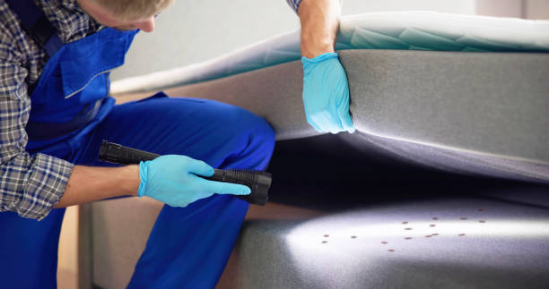 Best Cockroach Control Services  in Houghton, NY