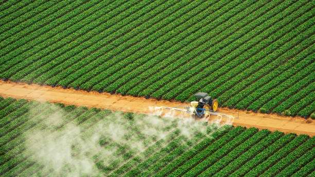 Best Commercial Pest Control Services  in Houghton, NY